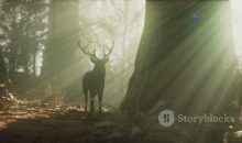 Understanding Christian Orthodoxy – First Steps – Step 16 – Seek Saints Intercession