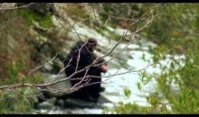 The beauty of Orthodox christian faith