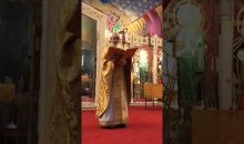 Call No Man “Father”? | #Orthodoxy Fact vs Fiction #Shorts