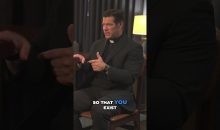 Conceived by IVF? You are loved and God WILLED that you exist!│Fr. Mike Schmitz