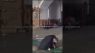 christian prostration  prayer of the old church