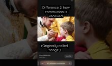 3 differences in communion: Roman Catholic and Eastern Orthodox