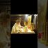 🔥Witnessing the Body and Blood of Christ in the Cup #orthodoxy #Eucharistic miracle 🔥Witnessing the Body and Blood of Christ in the Cup #orthodoxy #Eucharistic miracle