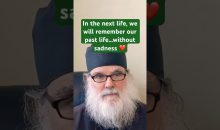 Private theological opinion! #shorts #love #truth #orthodoxy #christian #dogs #heaven #sadness Private theological opinion! #shorts #love #truth #orthodoxy #christian #dogs #heaven #sadness