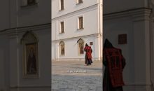 EXTREMELY RARE Schema Monk Sighting!