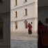 EXTREMELY RARE Schema Monk Sighting! EXTREMELY RARE Schema Monk Sighting!