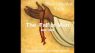 Orthodox Catechism, 05.07.2023 - The Fall of Man